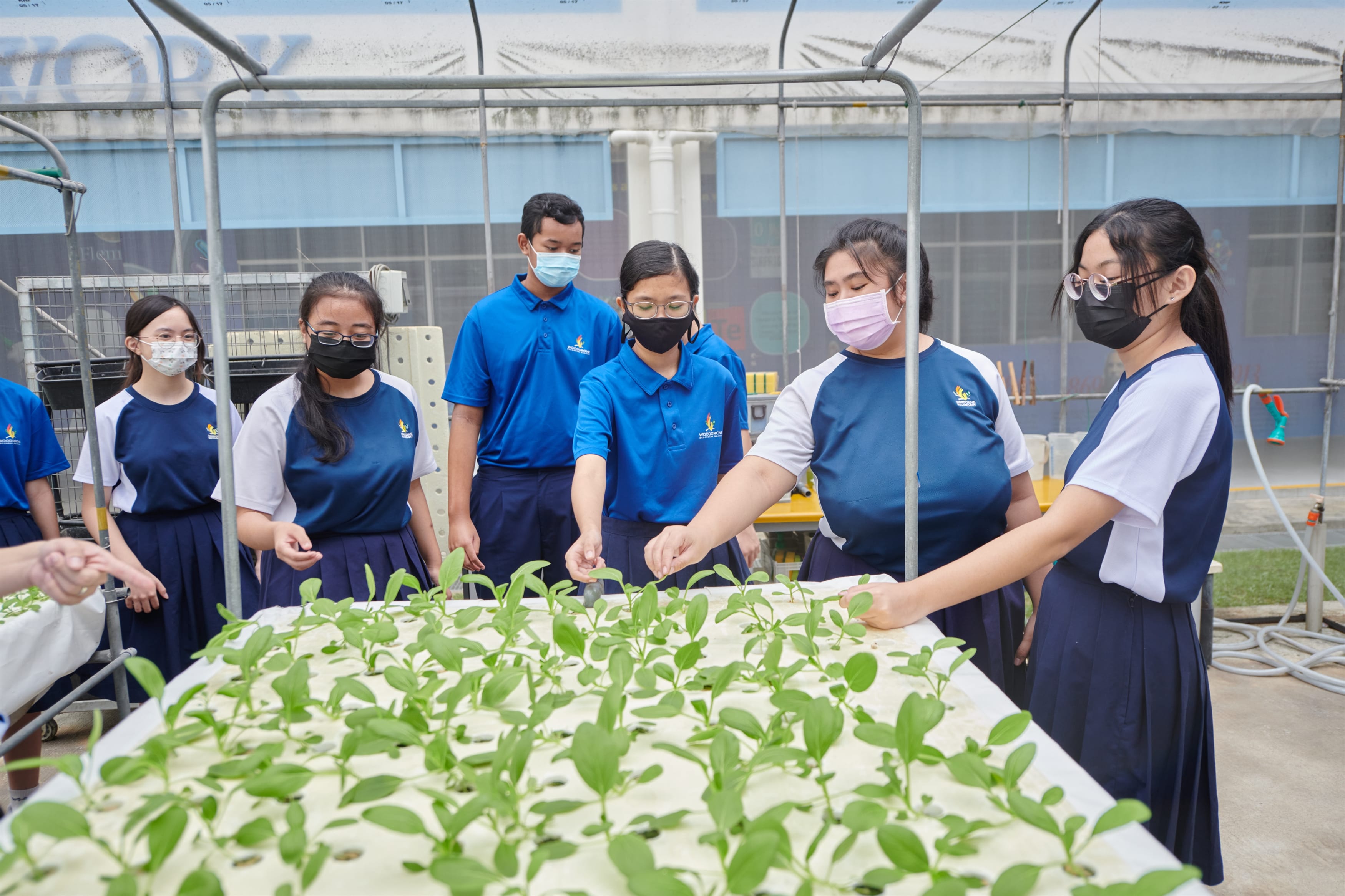 Students at the WGS Greenhouse to see the growth of their vegetables.